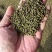 江西中花吴茱萸