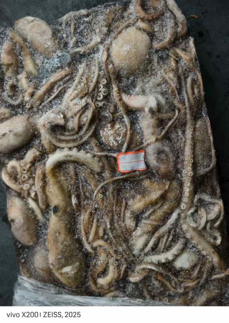 原浆活冻长腿八爪鱼，
