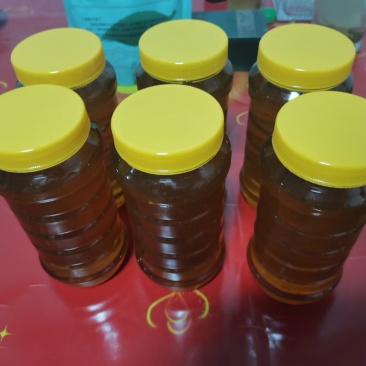 蜂蜜，纯正放山上养的，荆条蜜