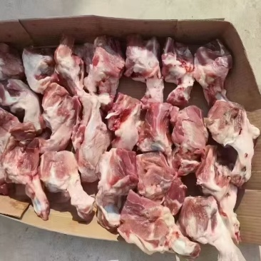 160后肘骨