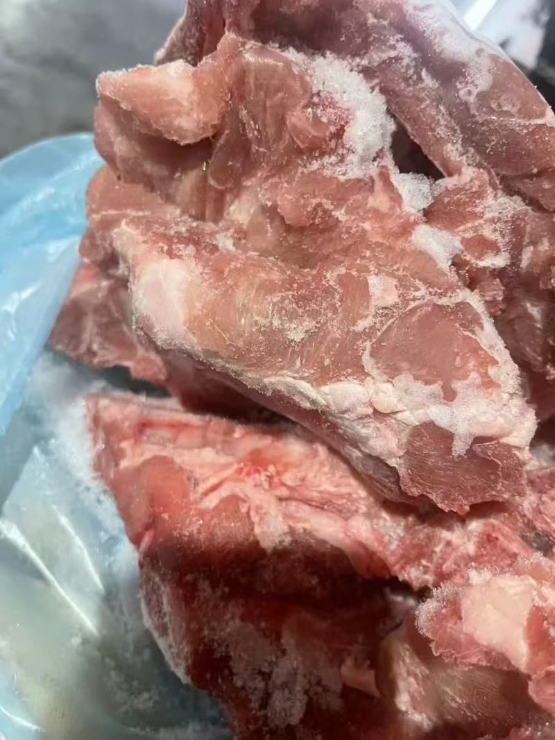 臀骨