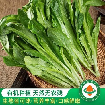 全年供应有机蔬菜