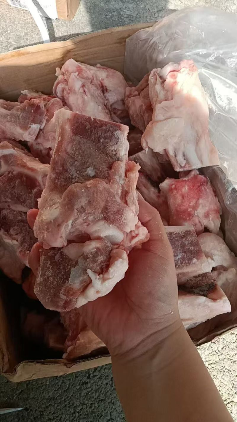 3548后肘骨块