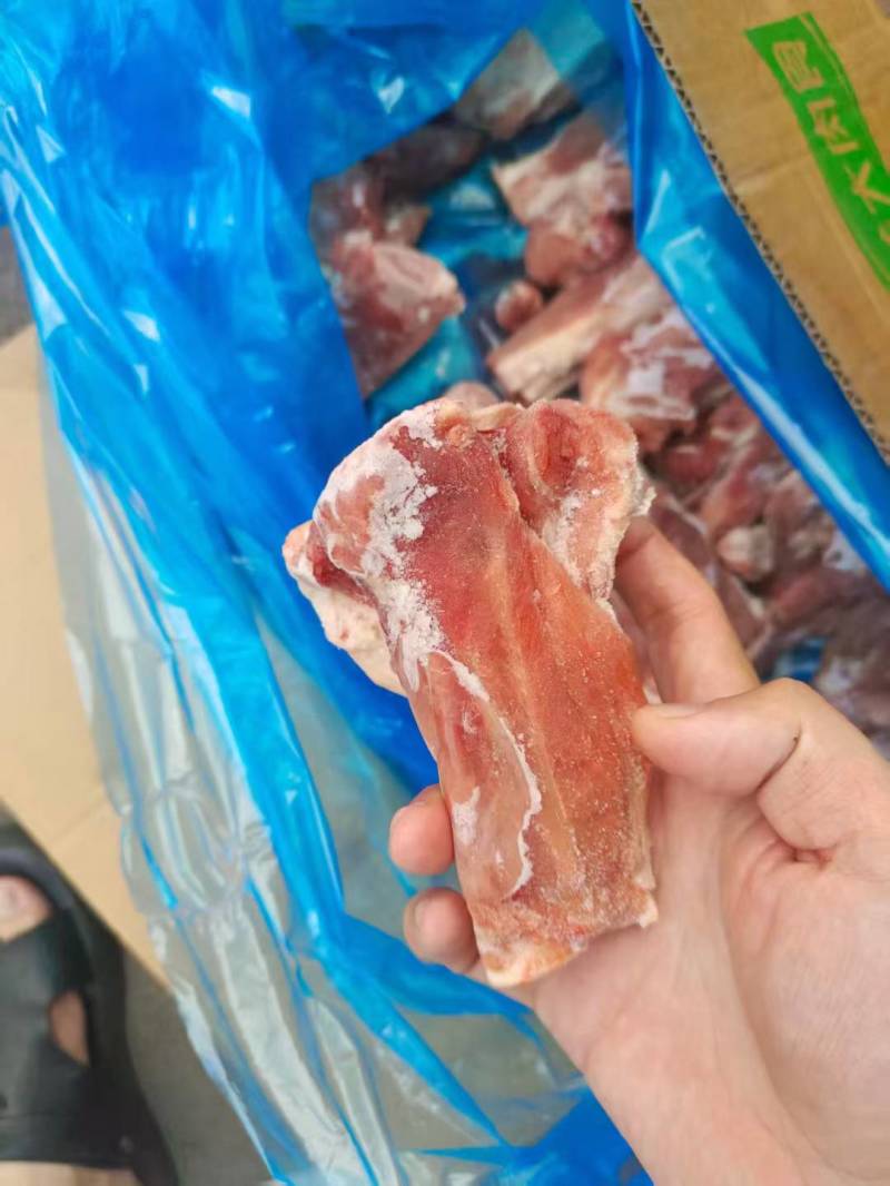 多肉S骨