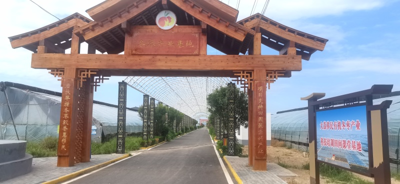 大荔冬枣礼盒包装供应