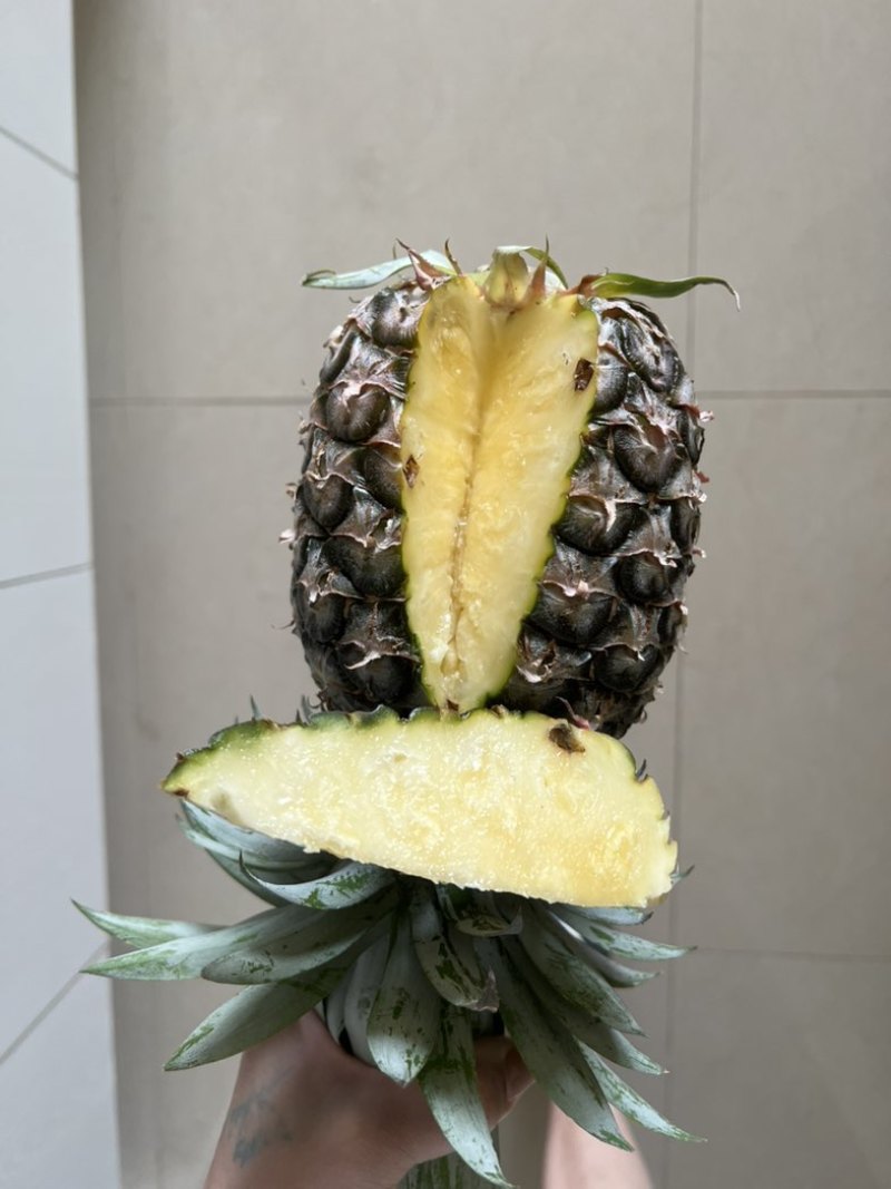 西双版纳凤梨