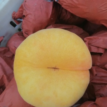 黄桃