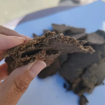 棉籽饼有机肥