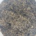 英德红茶英红九号