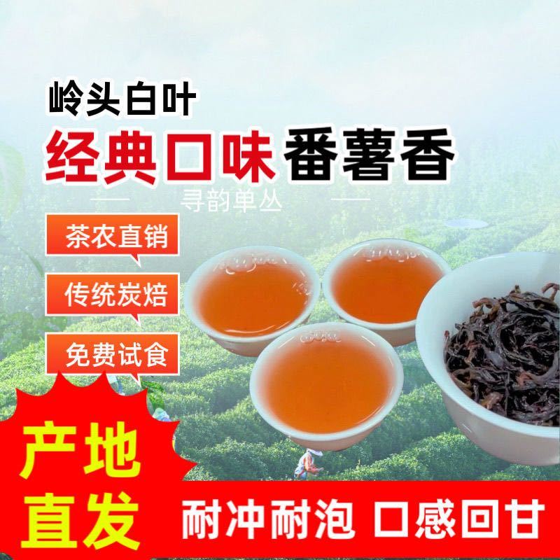 凤凰单丛