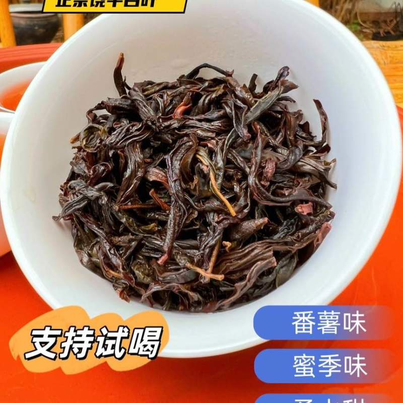 凤凰单丛