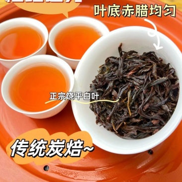 凤凰单丛