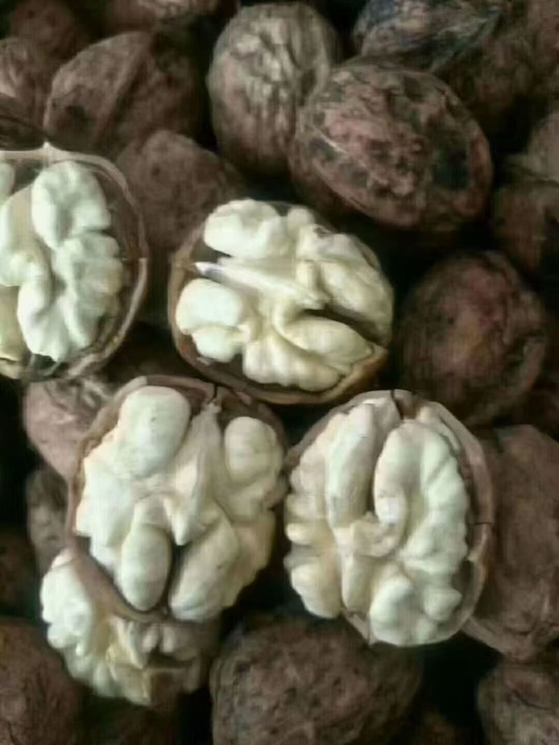 核桃