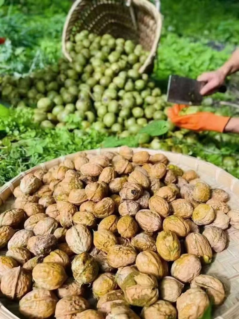 核桃