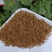 红茶茶叶金骏眉2025年新茶茶叶礼盒装单芽金骏眉高端