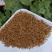 红茶茶叶金骏眉2025年新茶茶叶礼盒装单芽金骏眉高端