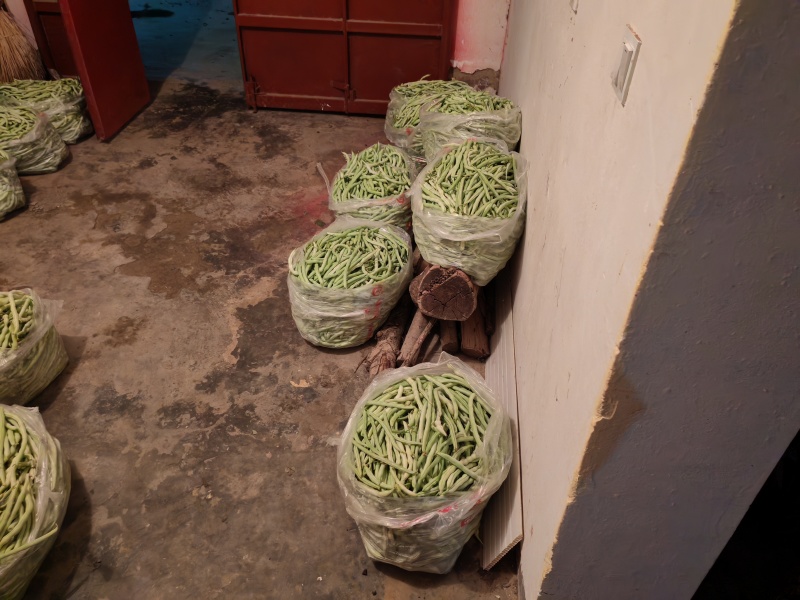 白皮豆角出售