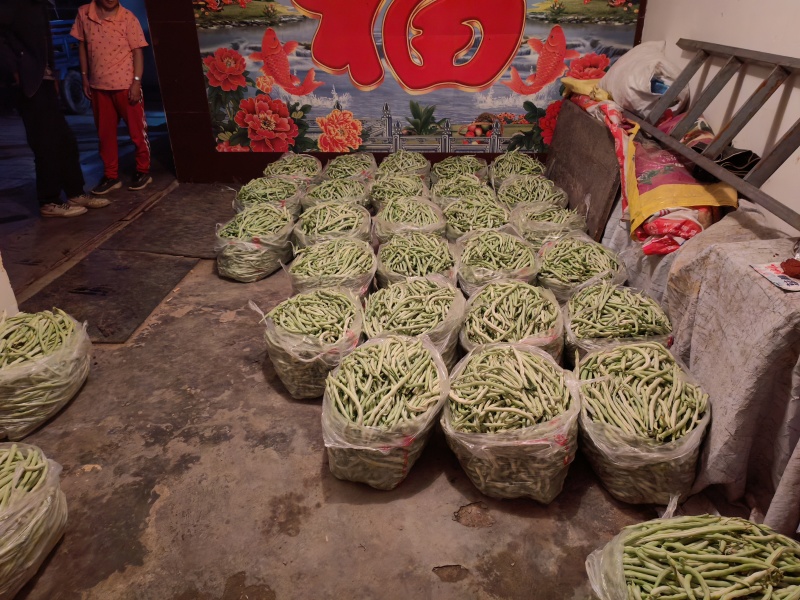 白皮豆角出售