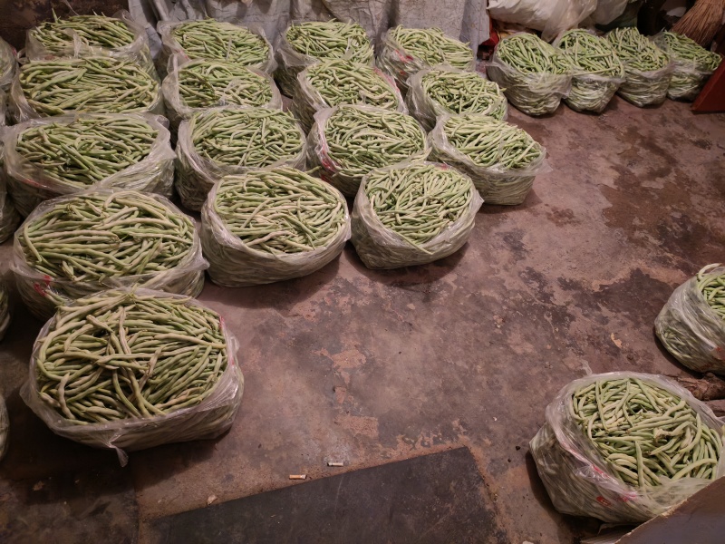 白皮豆角出售