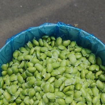 纯手工毛豆米价格优惠质量保证