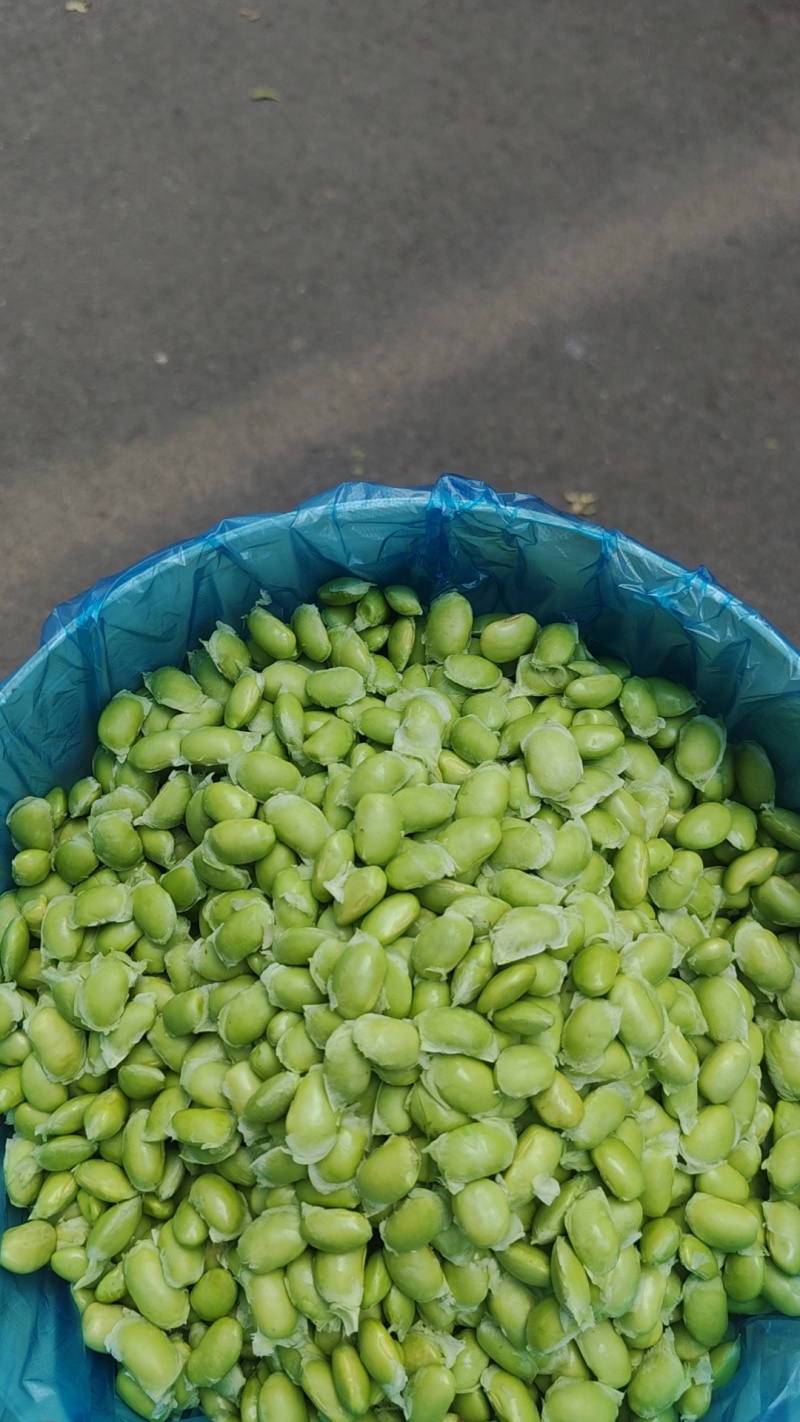 纯手工毛豆米价格优惠质量保证
