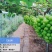 西昌阳光玫瑰葡萄