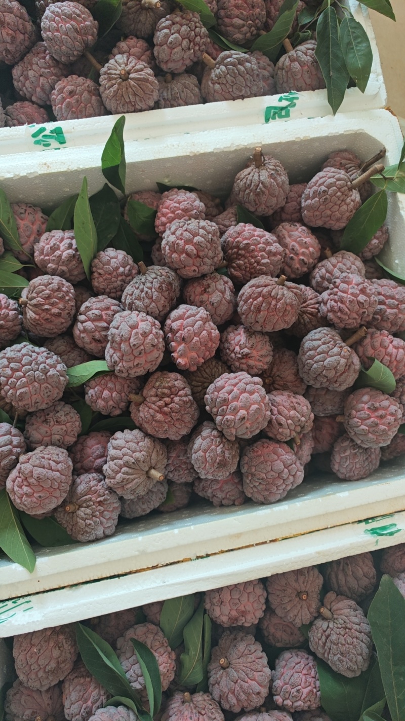 小果无限量供应。