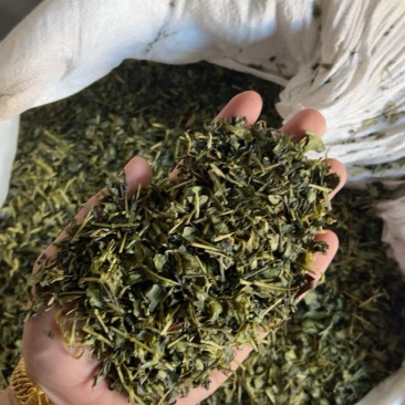 绿茶