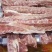 4厂多肉龙骨