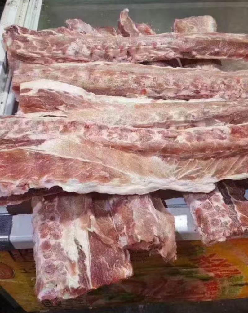 4厂多肉龙骨