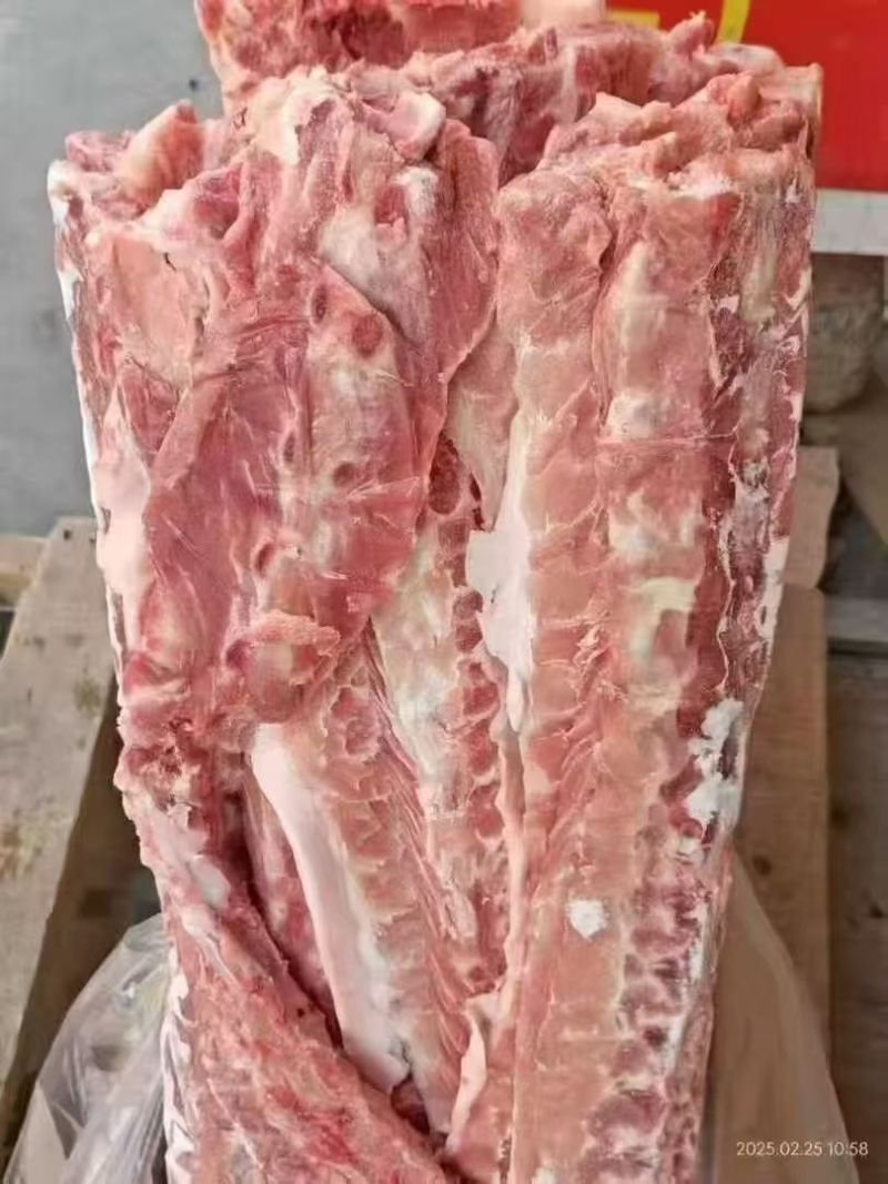 126多肉龙骨