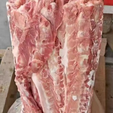 160多肉背骨