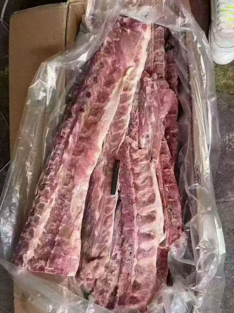 160多肉背骨