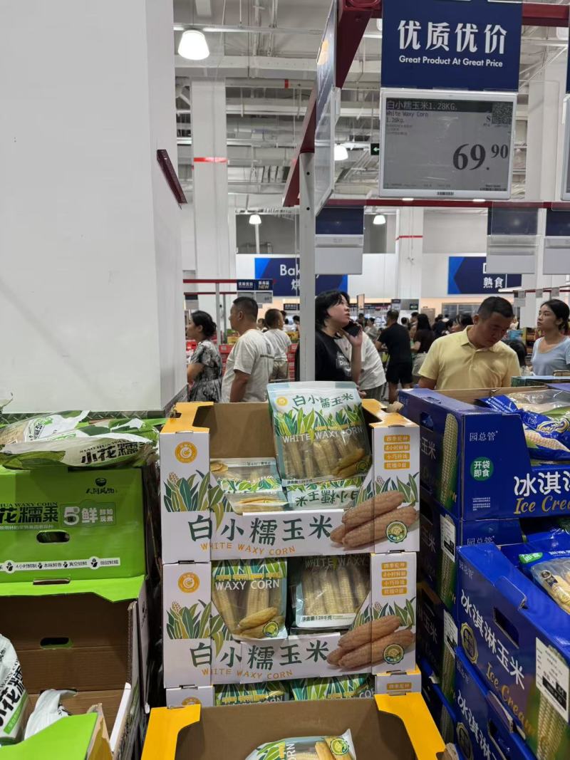 西双版纳精品小拇指玉米，软糯Q弹，不要69.9，只要39.9