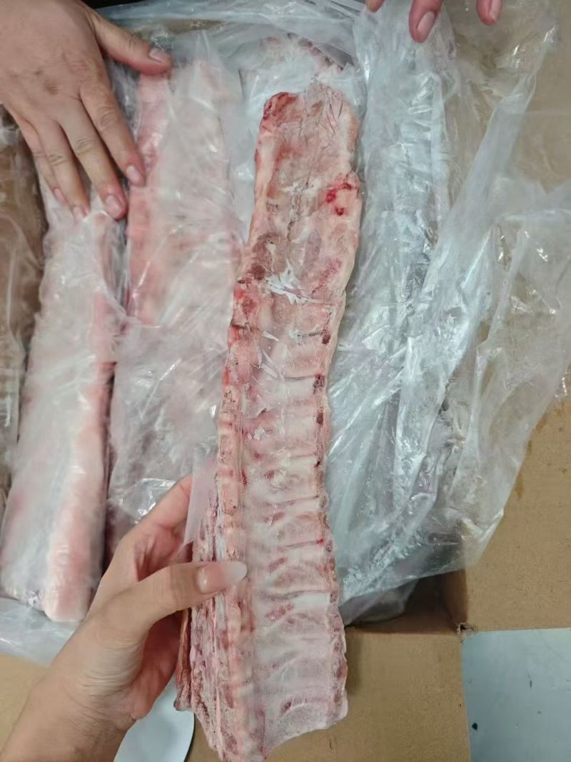 金和缘肥猪龙骨