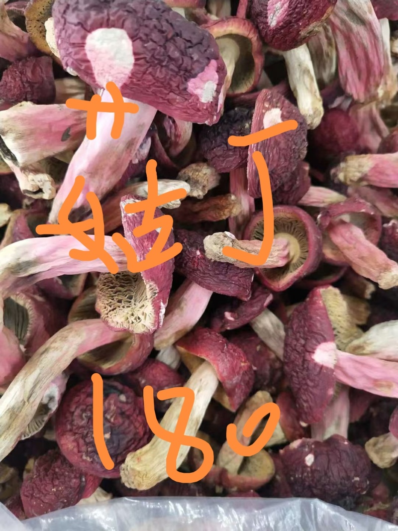 红菇