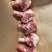 多肉羊棒骨大量现货厂家直销量大从优