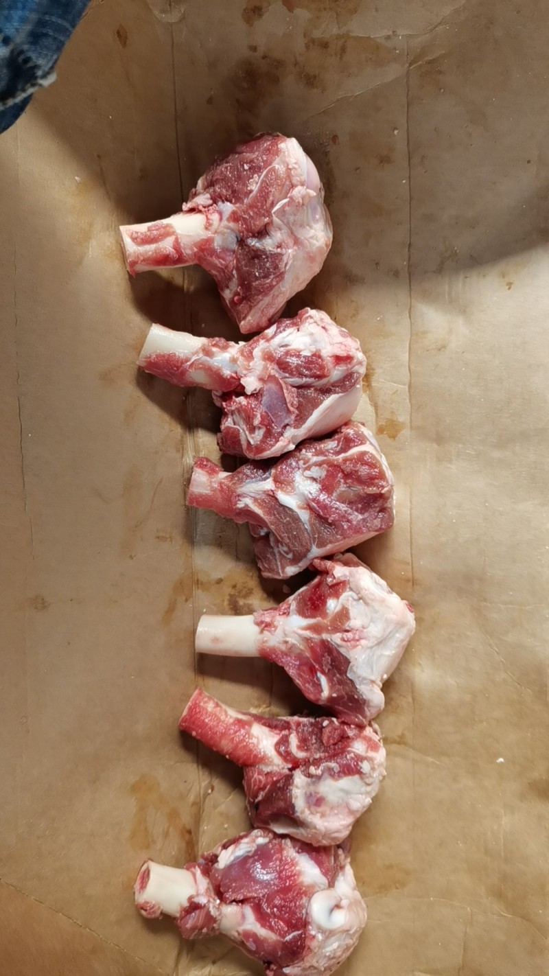 多肉羊棒骨大量现货厂家直销量大从优