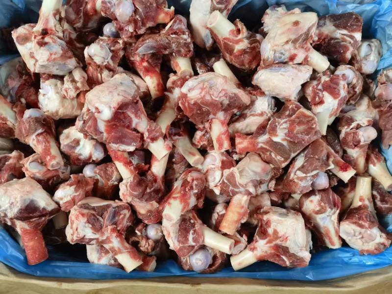 多肉羊棒骨大量现货厂家直销量大从优