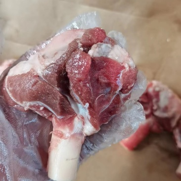 多肉羊棒骨大量现货厂家直销量大从优