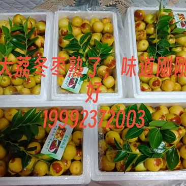 大荔冬枣