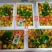 大荔冬枣
