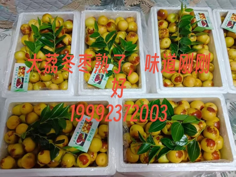 大荔冬枣