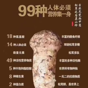 松茸