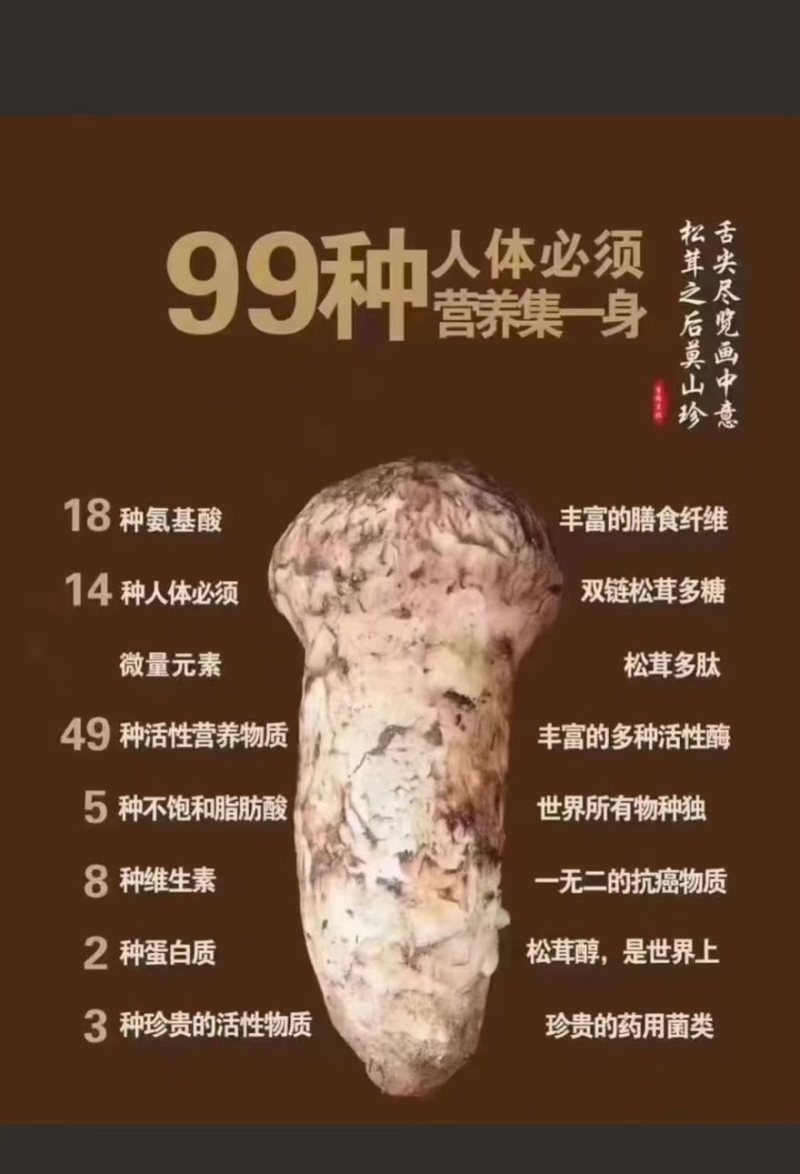 松茸