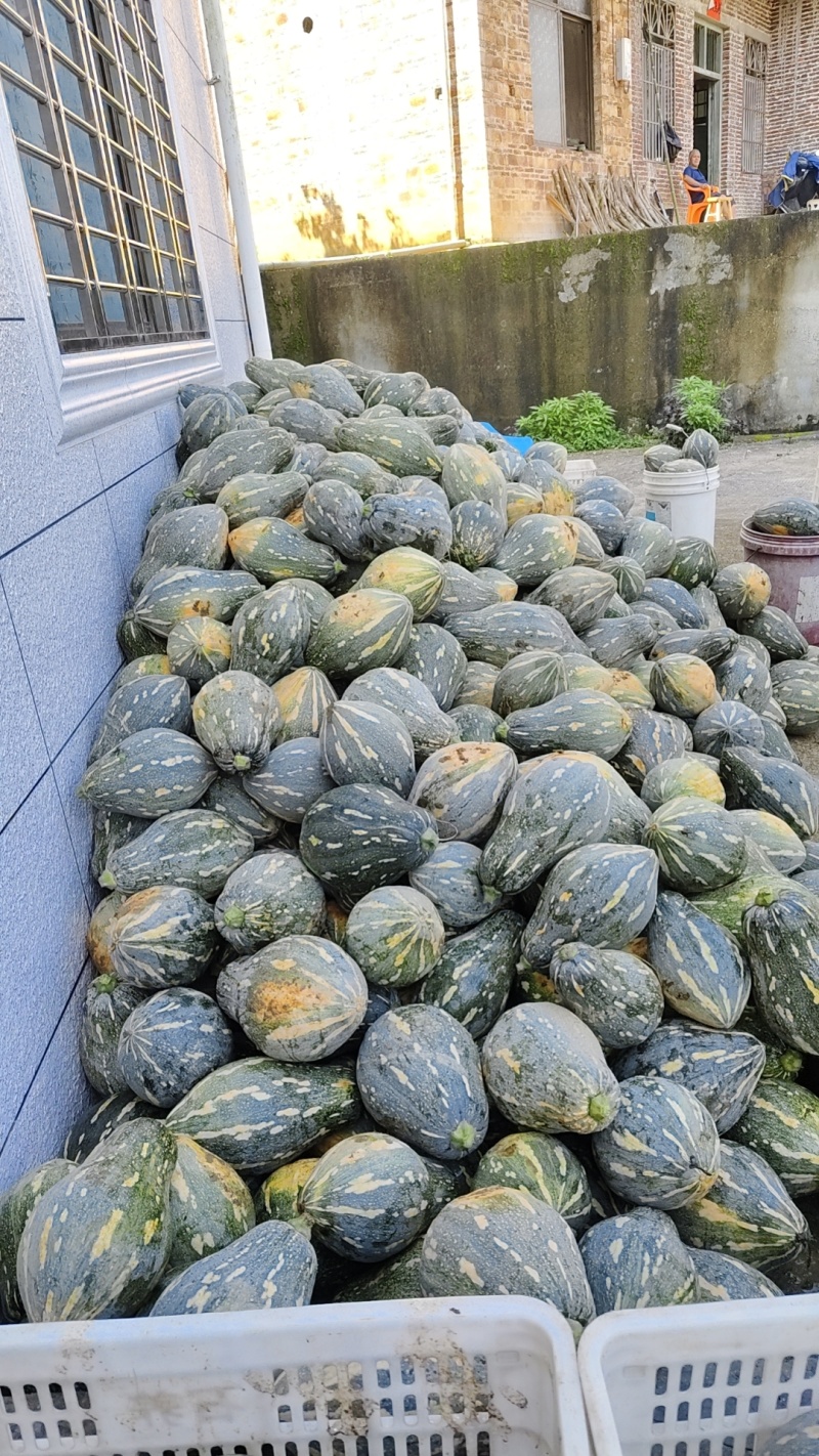 香芋南爪