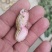 鲜花生
