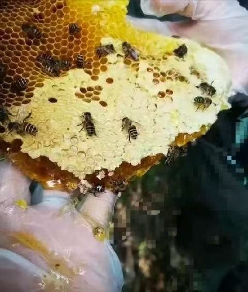 蜂蜜
