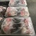 青脚大公鸡8.59.5公斤各种规格齐全。全新冷冻批发