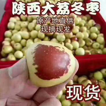 冬枣